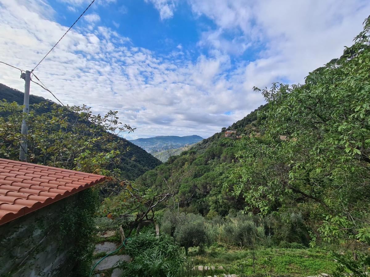 Castrusso Il Frantoio Di Rapallo By Portofinovacanze Exteriör bild