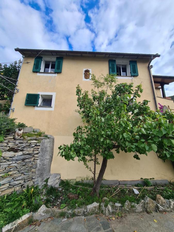 Castrusso Il Frantoio Di Rapallo By Portofinovacanze Exteriör bild